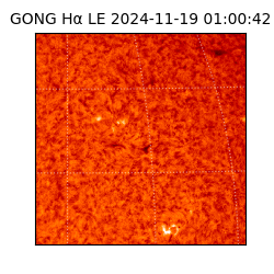 gong - 2024-11-19T01:00:42