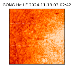 gong - 2024-11-19T03:02:42