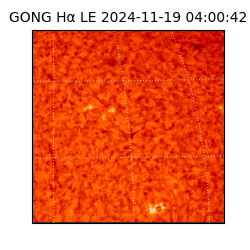 gong - 2024-11-19T04:00:42