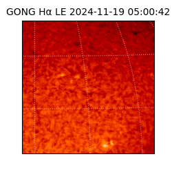 gong - 2024-11-19T05:00:42