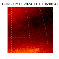 gong - 2024-11-19T06:00:42