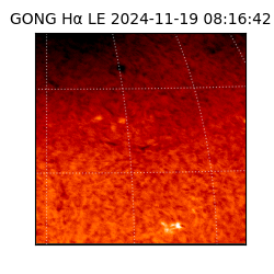 gong - 2024-11-19T08:16:42