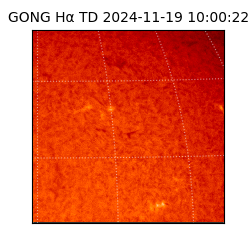 gong - 2024-11-19T10:00:22