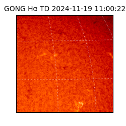 gong - 2024-11-19T11:00:22