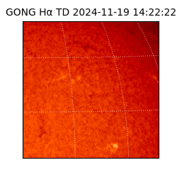 gong - 2024-11-19T14:22:22