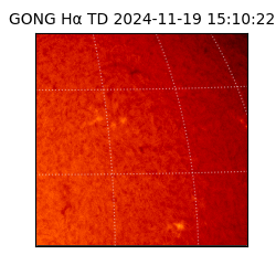 gong - 2024-11-19T15:10:22