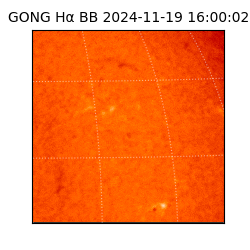 gong - 2024-11-19T16:00:02