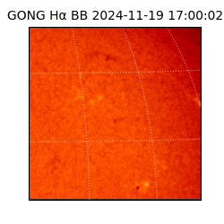 gong - 2024-11-19T17:00:02