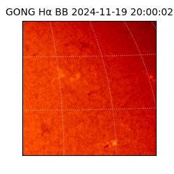 gong - 2024-11-19T20:00:02