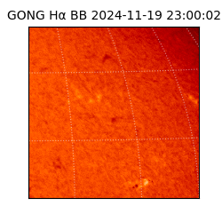 gong - 2024-11-19T23:00:02