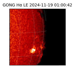 gong - 2024-11-19T01:00:42