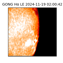 gong - 2024-11-19T02:00:42