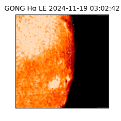 gong - 2024-11-19T03:02:42