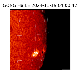 gong - 2024-11-19T04:00:42