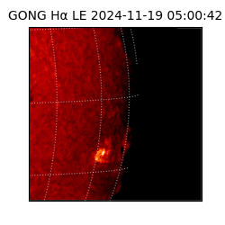 gong - 2024-11-19T05:00:42