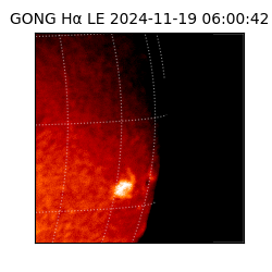 gong - 2024-11-19T06:00:42