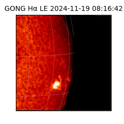 gong - 2024-11-19T08:16:42