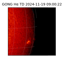 gong - 2024-11-19T09:00:22