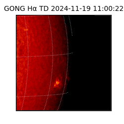 gong - 2024-11-19T11:00:22