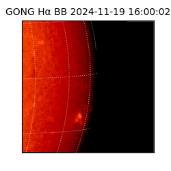 gong - 2024-11-19T16:00:02