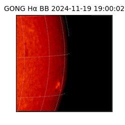 gong - 2024-11-19T19:00:02