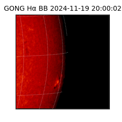 gong - 2024-11-19T20:00:02