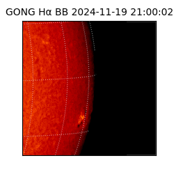 gong - 2024-11-19T21:00:02