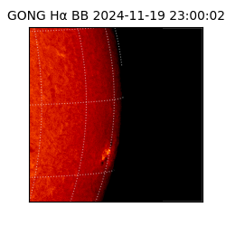 gong - 2024-11-19T23:00:02