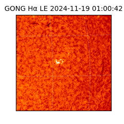 gong - 2024-11-19T01:00:42