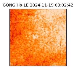 gong - 2024-11-19T03:02:42