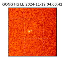 gong - 2024-11-19T04:00:42