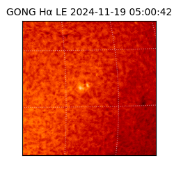 gong - 2024-11-19T05:00:42