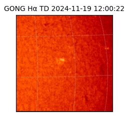 gong - 2024-11-19T12:00:22