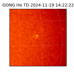 gong - 2024-11-19T14:22:22