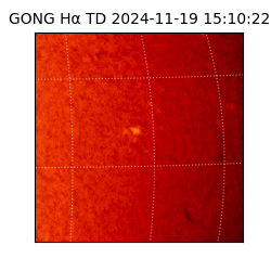 gong - 2024-11-19T15:10:22