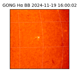 gong - 2024-11-19T16:00:02