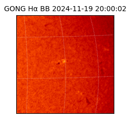 gong - 2024-11-19T20:00:02