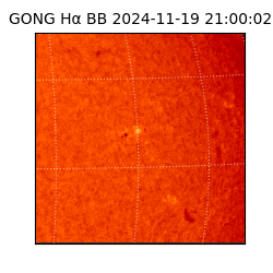 gong - 2024-11-19T21:00:02