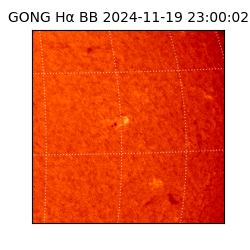 gong - 2024-11-19T23:00:02