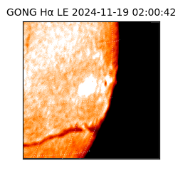 gong - 2024-11-19T02:00:42