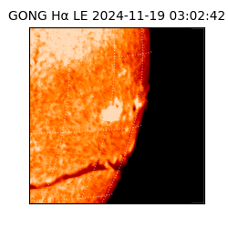 gong - 2024-11-19T03:02:42