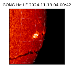 gong - 2024-11-19T04:00:42