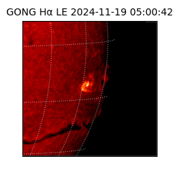 gong - 2024-11-19T05:00:42