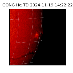 gong - 2024-11-19T14:22:22