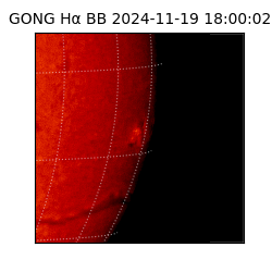 gong - 2024-11-19T18:00:02