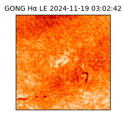 gong - 2024-11-19T03:02:42