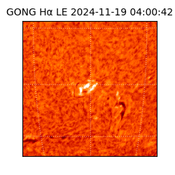 gong - 2024-11-19T04:00:42