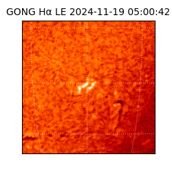 gong - 2024-11-19T05:00:42