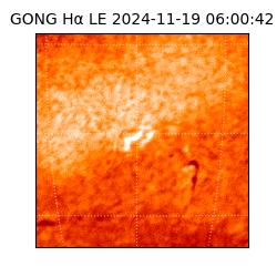 gong - 2024-11-19T06:00:42