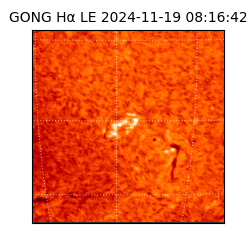 gong - 2024-11-19T08:16:42